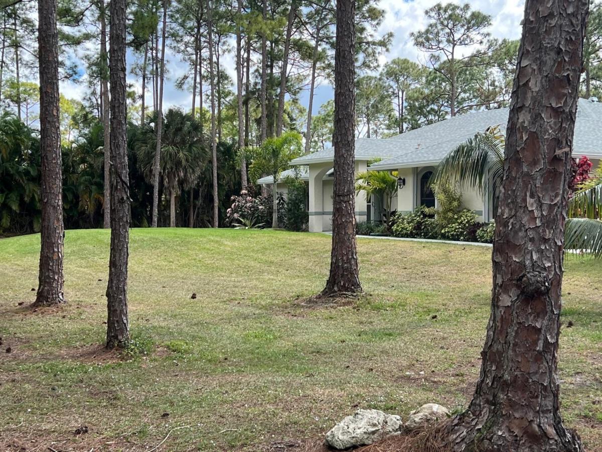Private Tropical Paradise Guesthouse! Loxahatchee Exterior photo